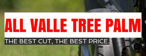 All Valle Tree Palm