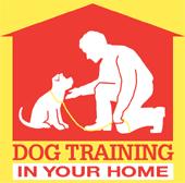 Dog Training In Your Home