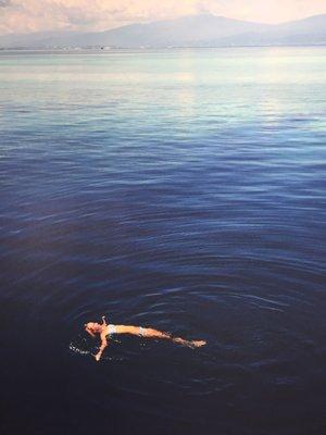 The Deep Blue Sea Sanctuary