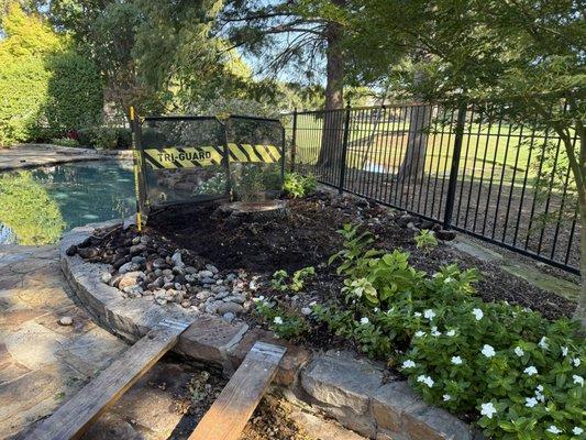 Woodpecker Stump Removal Service