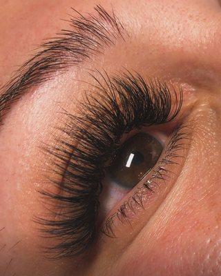 Volume lashes