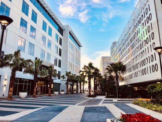 MSWright Corp at Lake Nona