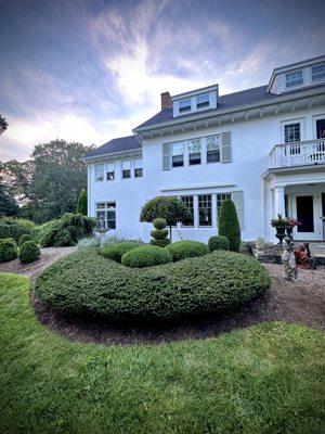 Aligned Design Landscaping