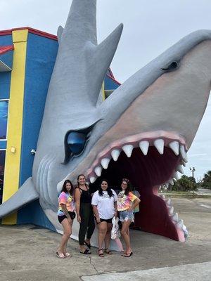 Front door of the shop! Cool walk-in shark door into souvenir shop