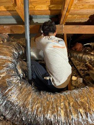 Soiled 2 Spoiled Cleaning Services