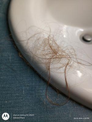 this is just the bit collected while gently combing