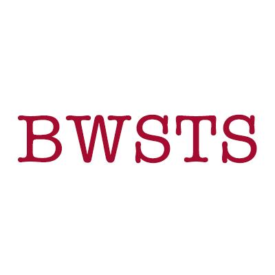 BWS Tax Services Inc