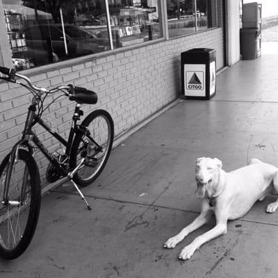 Ariana Discount Beverage