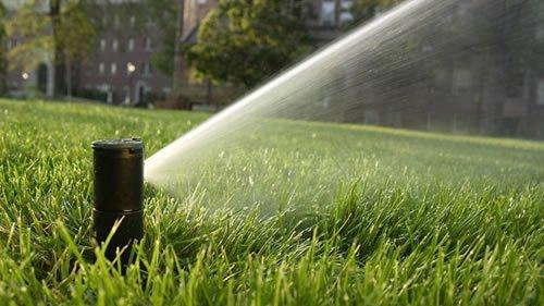 Luxury Lawn Irrigation