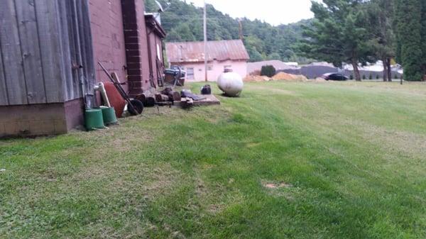 This is the wood they use?