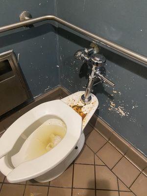 United Council of Human Services