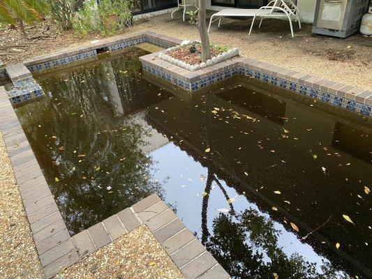 Silver Rose Pool Service