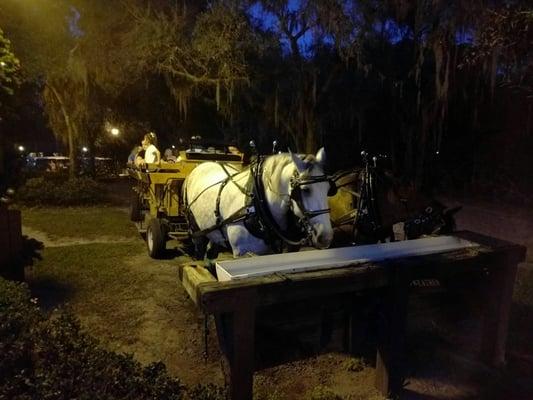 Fort Wilderness Horse-Drawn Excursions
