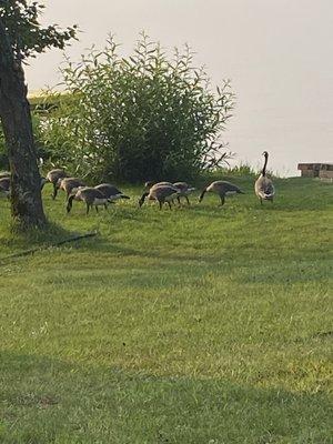 Portage Lake Cabins Houghton