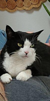 Chuck & Don's Pet Food & Supplies