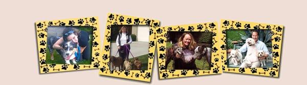 Animal House Pet Care