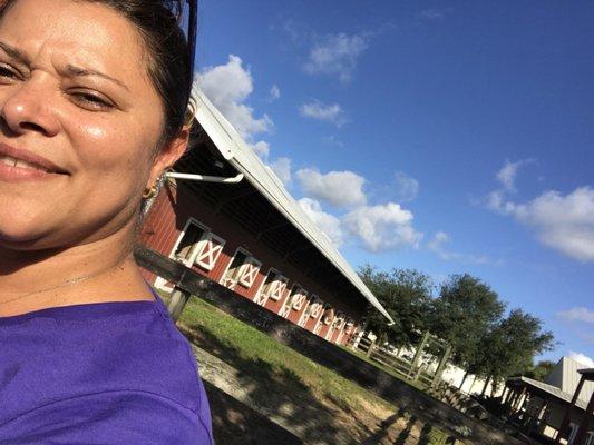 Equine Assisted Therapies of South Florida