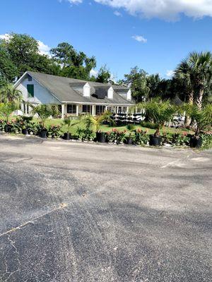 Green Market Nursery