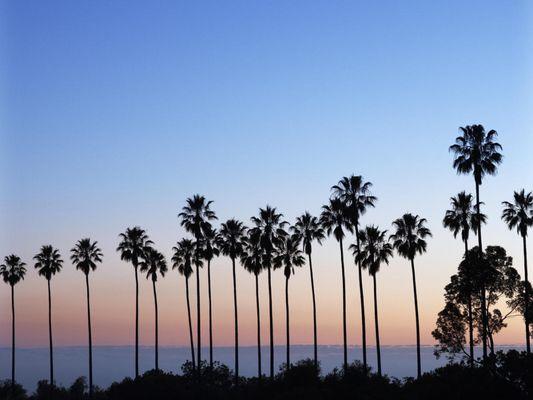 Located in the Terrace Park community of Tampa Florida.