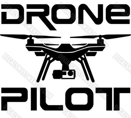 Drone Inspection Services