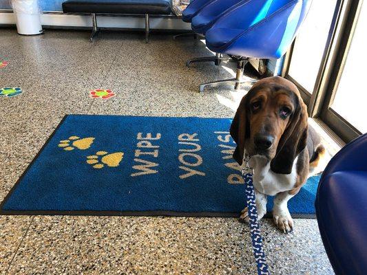 Pearl River Animal Hospital