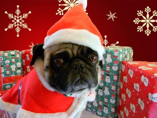 Brown Deer-Village of