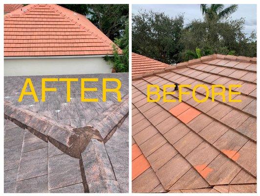 Euro Services Pressure Cleaning