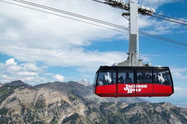 Jackson Hole Mountain Resort photo