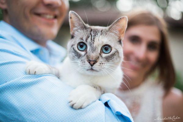 Michelle Cehn Photography & Videography