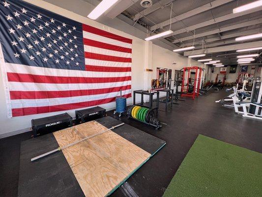 The Gym Iron Gorilla Barbell