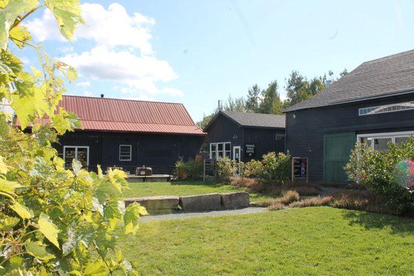 Courtyard shared by Bar Harbor Winery, Crooked Porch Coffee and Sweet Pea Farm to Kitchen Restaurant