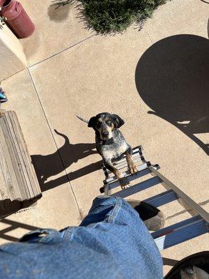 Scout’s Maintenance and Hauling