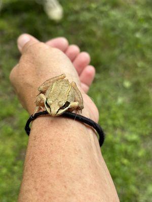 Cast No Shadows Stables