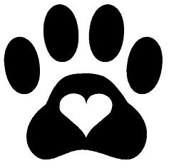 Beacon Valley Animal Hospital