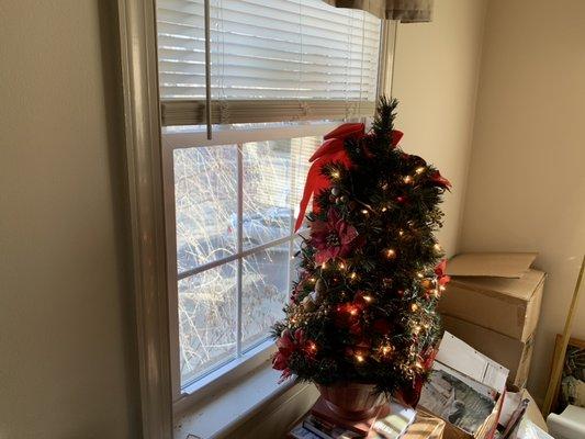 DHS Financial Services