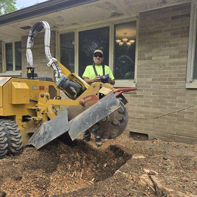 Joe's Discount Tree & Stump Service