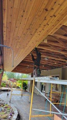 New cedar tongue and groove