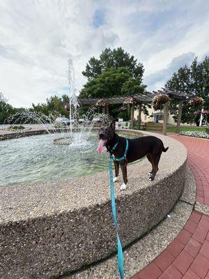 Carriage House Glass