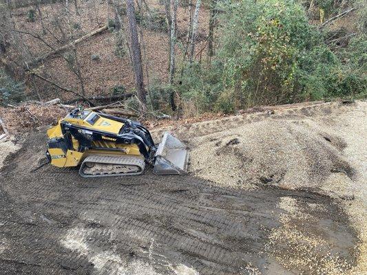 Young's Tree & Stump