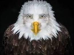 Willow Elementary School