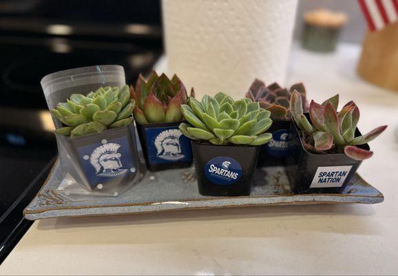 Mountain Crest Gardens