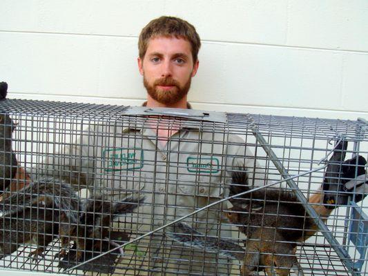 Squirrel Removal Pro