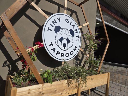 Tiny Giant Taproom
