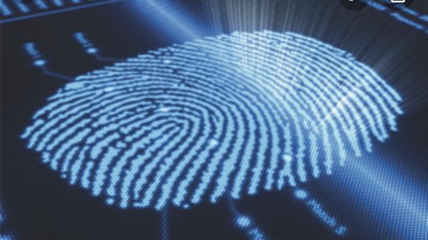 Accurate Answers Investigative Services