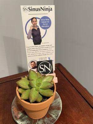 Have a look at our Sinus Ninja brochure--feel free to read it while you relax in the waiting area.