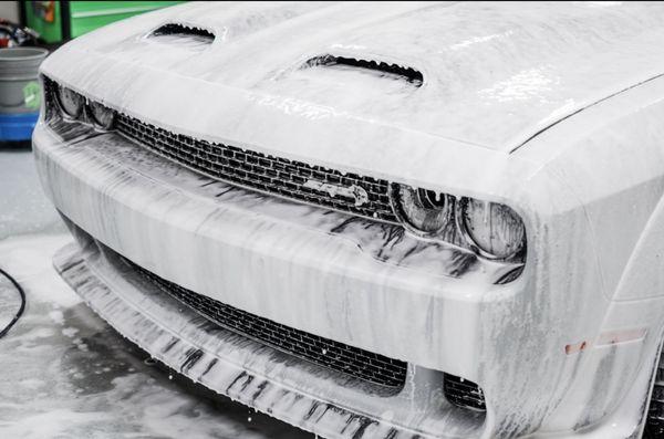 Royal Treatment X Winning Tint