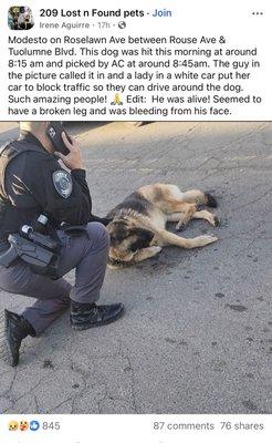 Ronin Protection Solutions