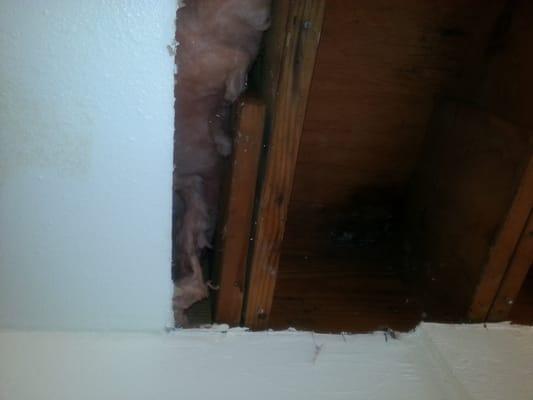 Horrible Mold and mildew problems