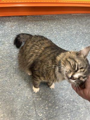 Creola Ace Hardware & Lumber