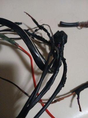 These are the wires that could have caught my engine on fire.